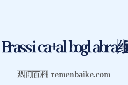 Brassica+alboglabra组词是什么意思的图片